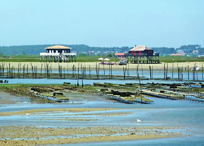 Claire-2 By Interhome * Arcachon